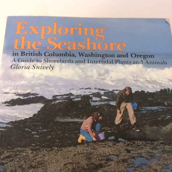 🆓 Book Exploring the Seashore - Picture 2 of 4